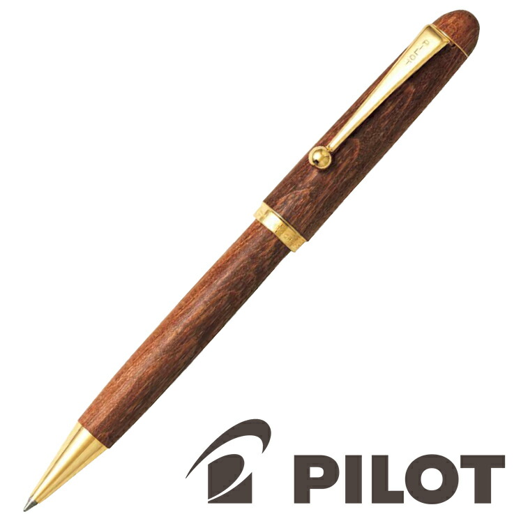 pilot_bk_1000k2.jpg