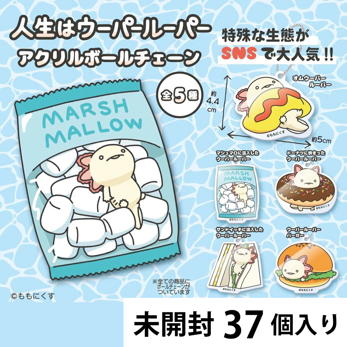 人生はウーパールーパー　アクリルボールチェーン Vol.1 カプセルトイ 【37個入り】