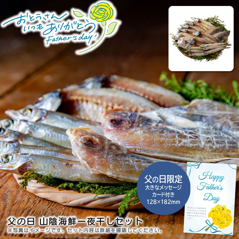 【土日限定クーポン配布中】【本日P2倍】父の日 ギフト 早割 プレゼント<br>父の日 山陰海鮮一夜干しセット<br>海鮮 干物 おつまみ 父の日 贈り物<br>※こちらの商品はメーカー直送品です。