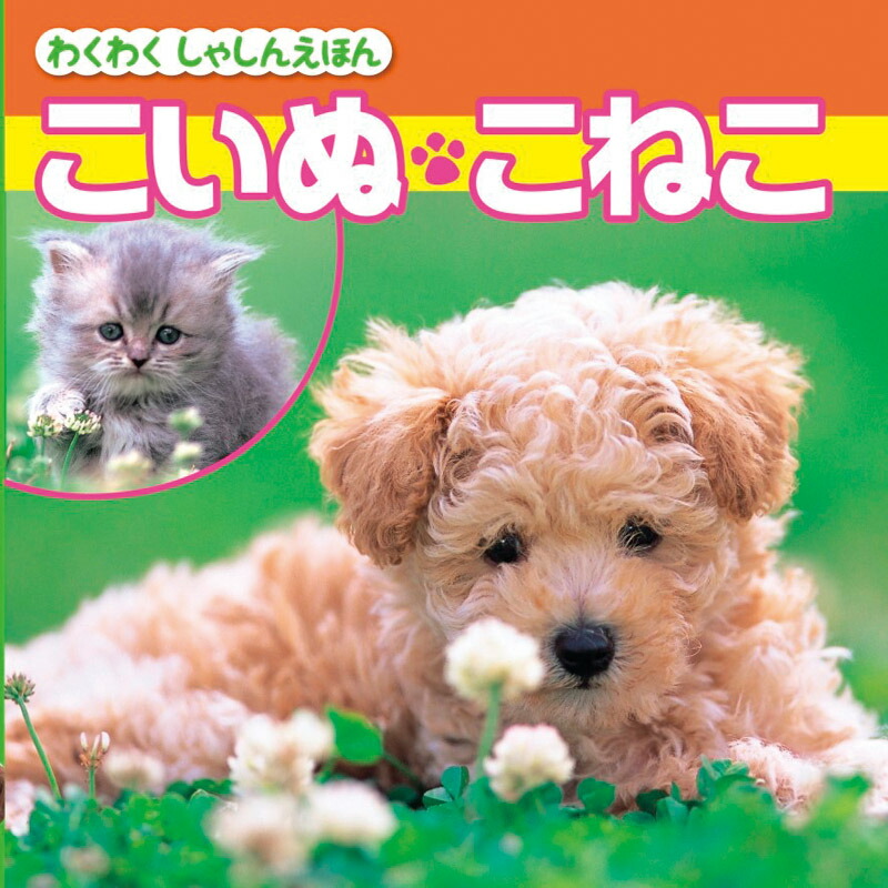 ＜コスモス＞あそびと知育のたからばこB（7冊セット） COS-50-01D知育 おもちゃ 絵本 家族 交流 楽しむ お祝い プレゼント 内祝い お返し 記念品 景品 自宅用画像