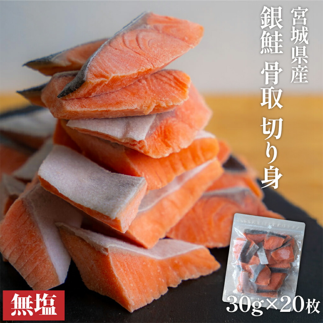【ちゃんちゃ】チャーム　サーモン　シロサケ　鮭　剥製 MARUHA NICHIRO 送料無料 サーモン 刺身 とろサーモン 鮭 約1.8