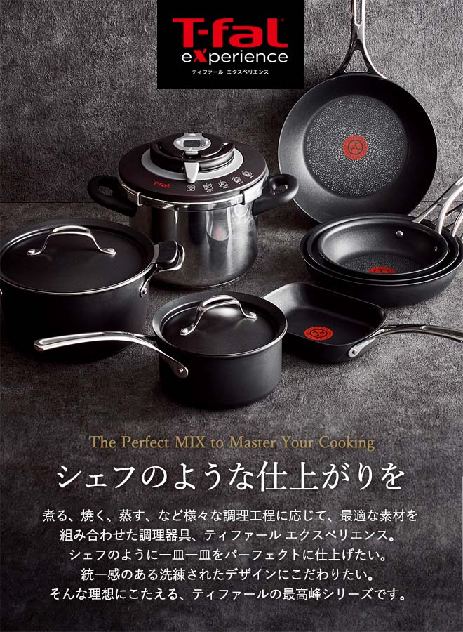 ティファール T-fal エクスペリエンス＋ フライパン 22cm E52303