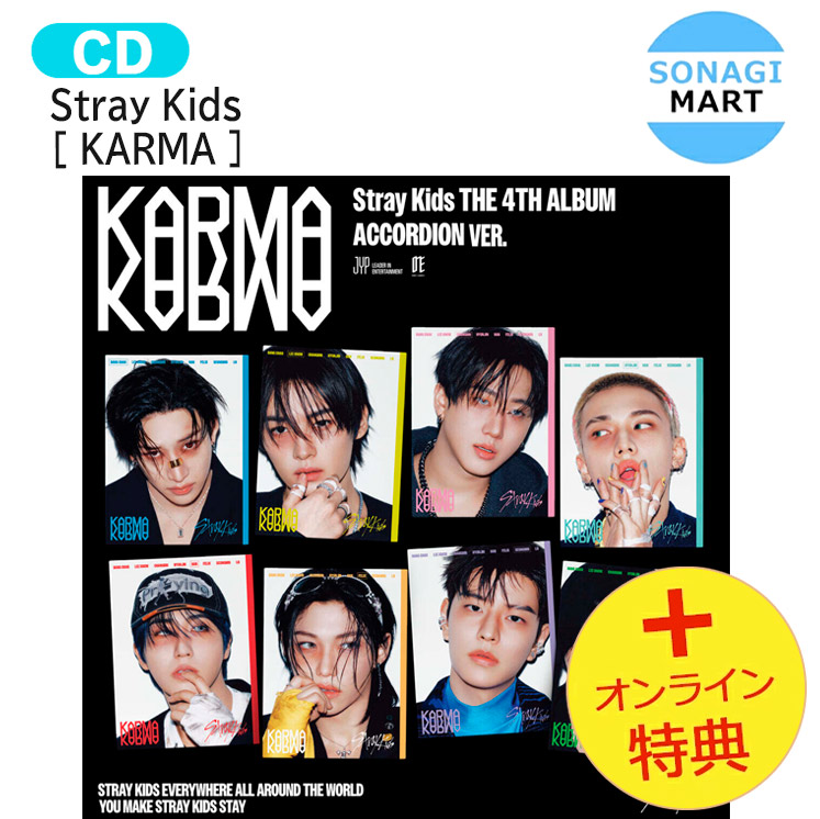 stray kids スンミン unlock ソウルコン 特典ポラロイド 51Pp7sLXwqL._UF350,350_QL50_.jpg