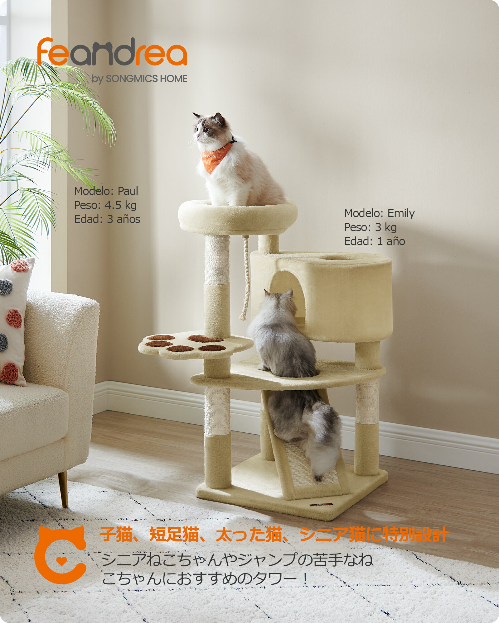 楽天市場】FEANDREA キャットタワー ミニ 子猫やシニア猫にお