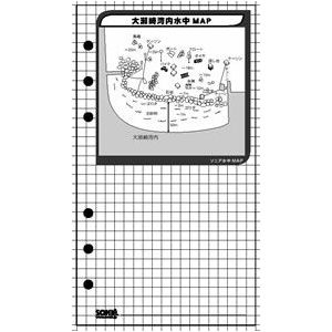 楽天市場 Sonia ソニア 海底マップ 西伊豆 大瀬崎 湾内 1組5枚セット ソニア