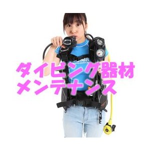 【送料無料】SONIA(ソニア)オーバーホール レギュレータ 1ST-2nd|ソニア