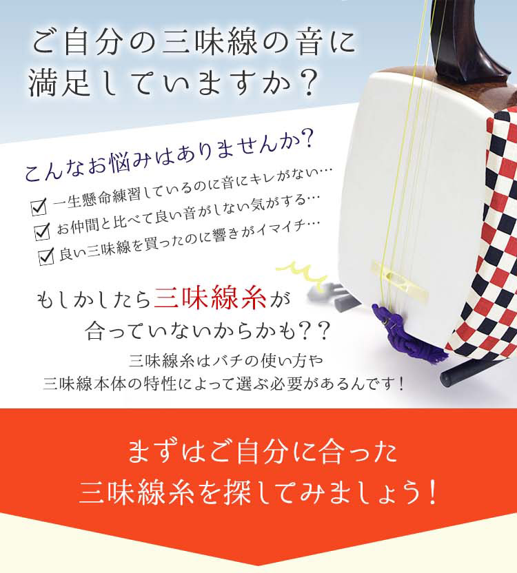 津軽三味線(本体、本体カバー、ケース、津軽バチ、三弦糸)