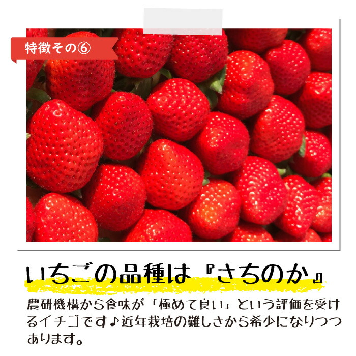 進化版 いちご様専用 メーカー希望小売価格から30 Off