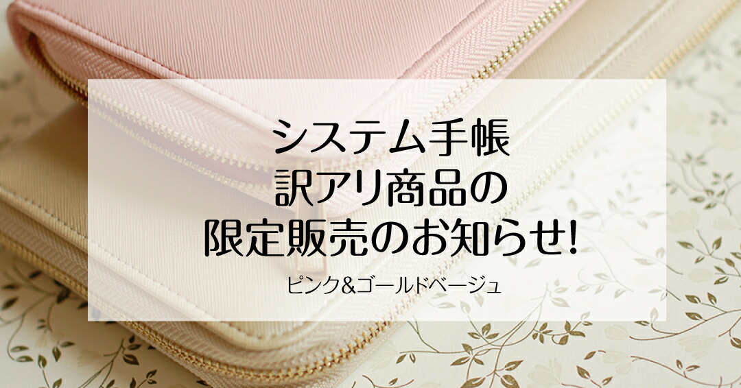 市場 部分翌日発送 マルチ収納 ハウスキーピングブック クリアファイル システム手帳 ポーチ 家計簿
