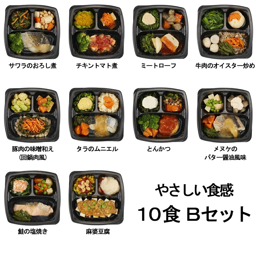 【お買い物マラソン期間中 ポイント10倍！】エフアールフーズ そよ風のやさしい食感10食 Bセット (とんかつ、サワラのおろし煮、麻婆豆腐など、全10種)