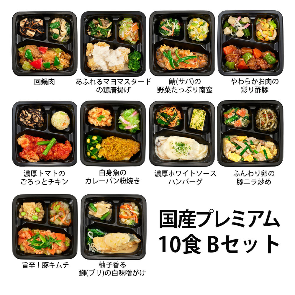 食のそよ風 国産プレミアム10食 Bセット (回鍋肉、白身魚のカレーパン粉焼き、濃厚トマトのごろっとチキンなど、全10種)