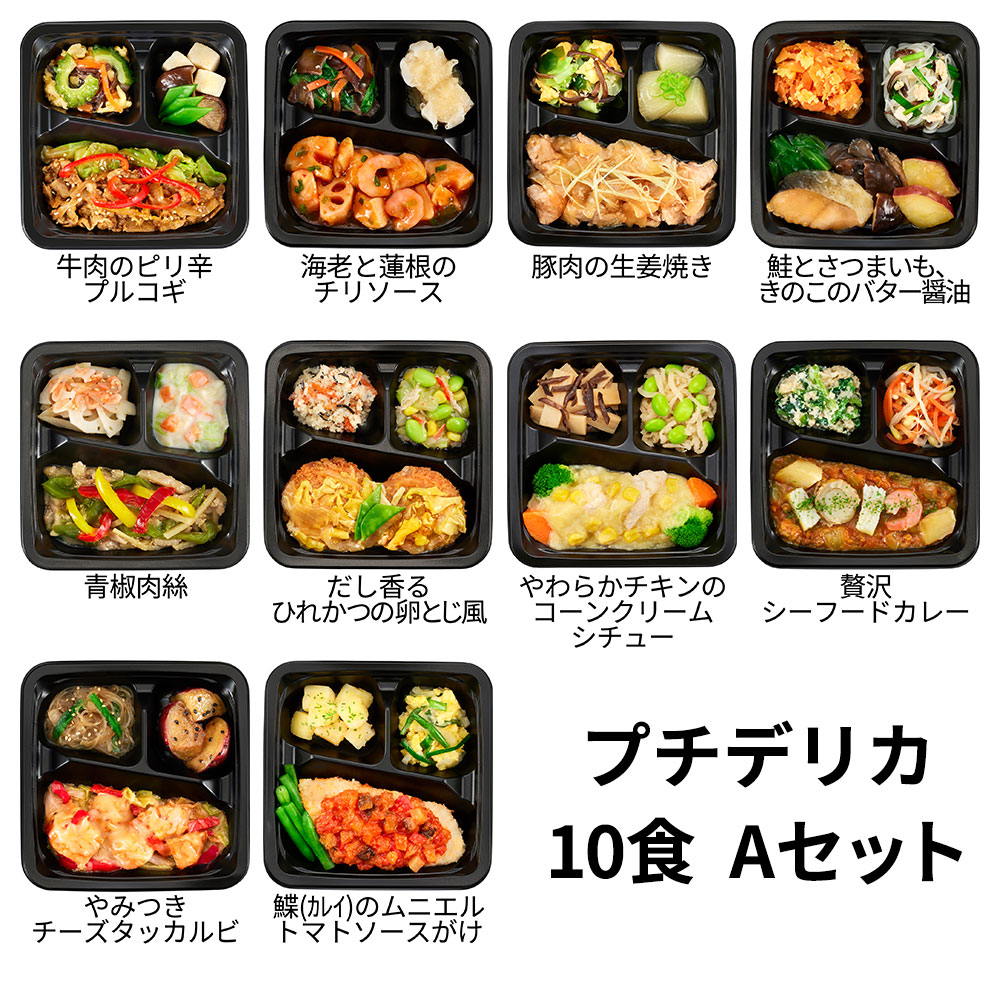 食のそよ風 プチデリカ10食 Aセット (青椒肉絲、やみつきチーズタッカルビ、カレイのムニエルトマトソースがけなど、全10種)