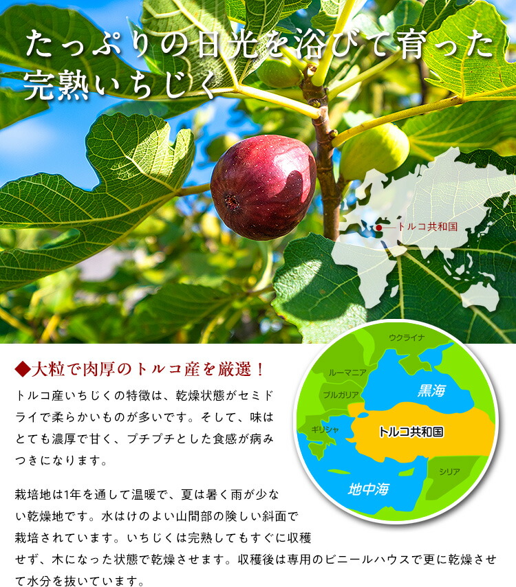 送料無料1 000円ぽっきり 無添加 完熟ドライいちじく500g 砂糖不使用