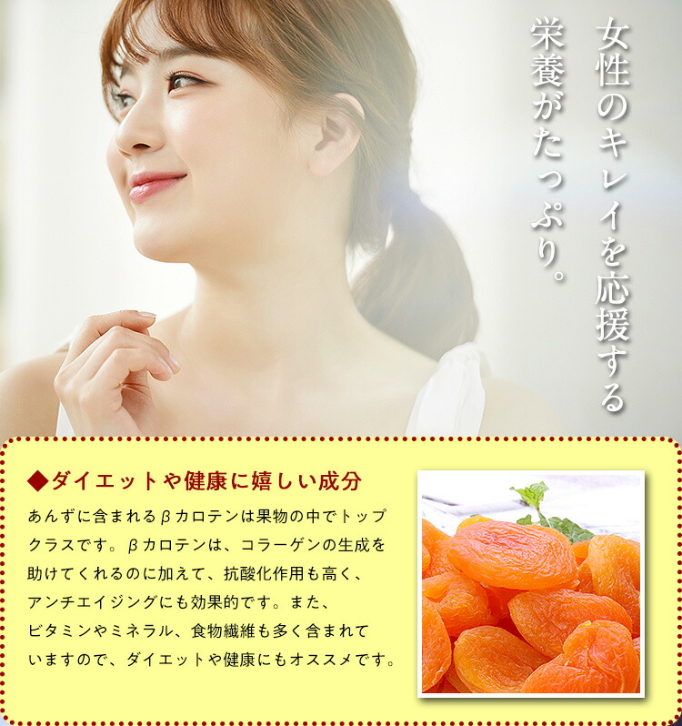 送料無料1,000円ぽっきり!【砂糖不使用】ドライあんず500gアプリコット杏ドライフルーツメール便