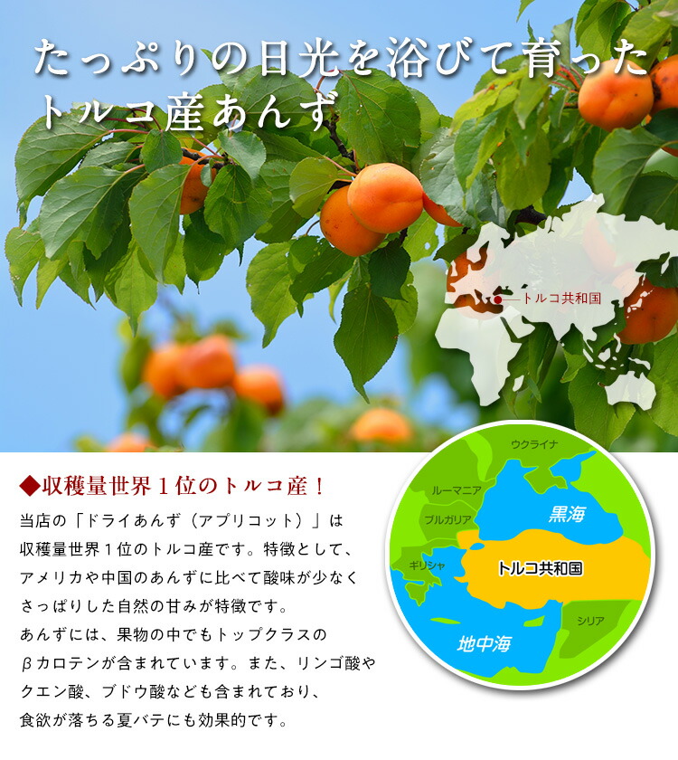 送料無料1,000円ぽっきり!【砂糖不使用】ドライあんず500gアプリコット杏ドライフルーツメール便