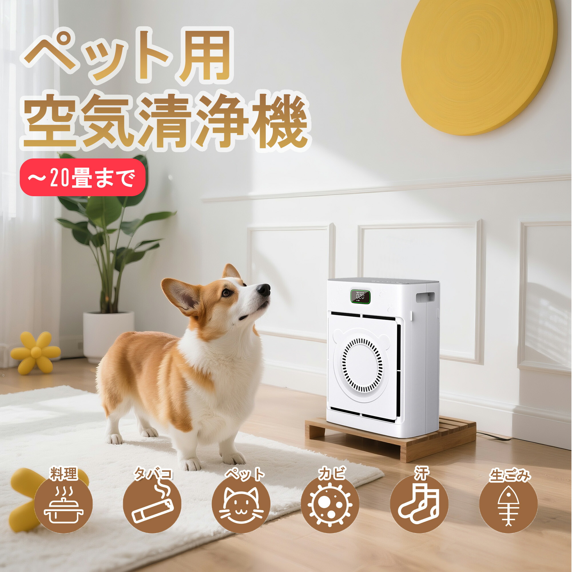 楽天市場】2025年7月新モデル！ペット用空気清浄機 猫 犬 多頭飼い 浮