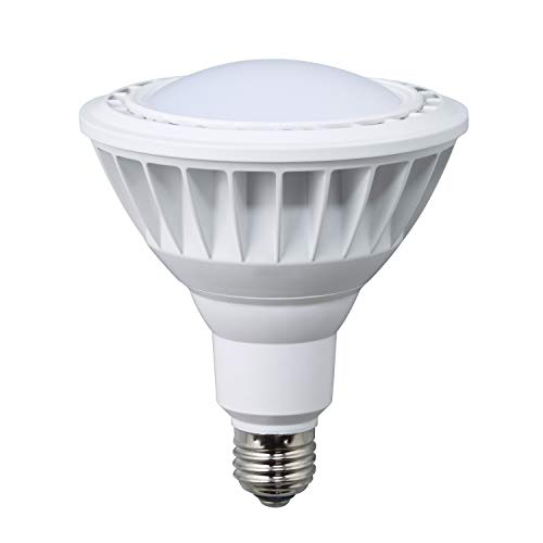 ハタヤ (HATAYA) LED照明ランプ LDR20L-H110 貨物輸送無料