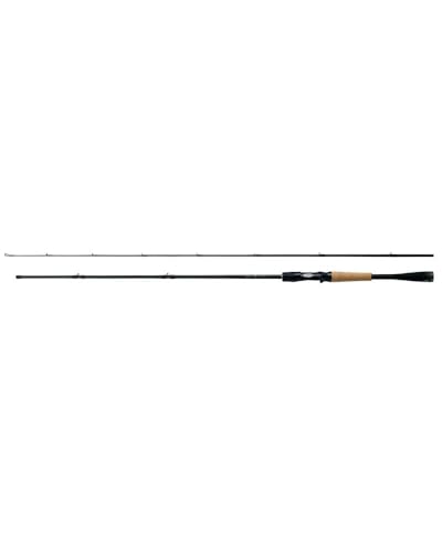 ダイワ(DAIWA) 21 ブレイゾン C67MH-FR 1ピース ベイトキャスティングモデル 送料無料｜SooTune