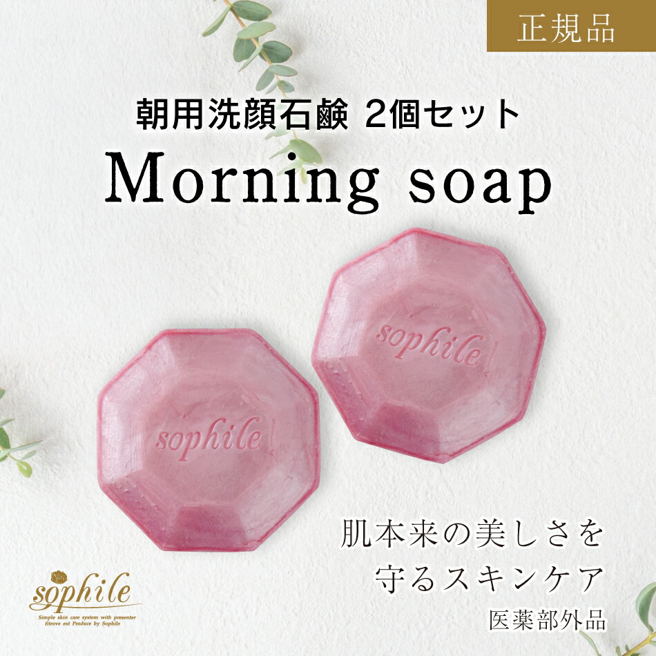 ＜置き目品＞燕尾服石ケン 110g × 2個仕掛ける 朝用 洗顔 石ケン 貨物輸送無料 素はだ世話をする 益荒男 石ケン 洗顔質問用紙 デイリー使い走り 感じやすい肌 かわき切る肌 洗顔料 泡 エンザイム くすみ しわ ニキビ 吹き出物 父の日 母の日