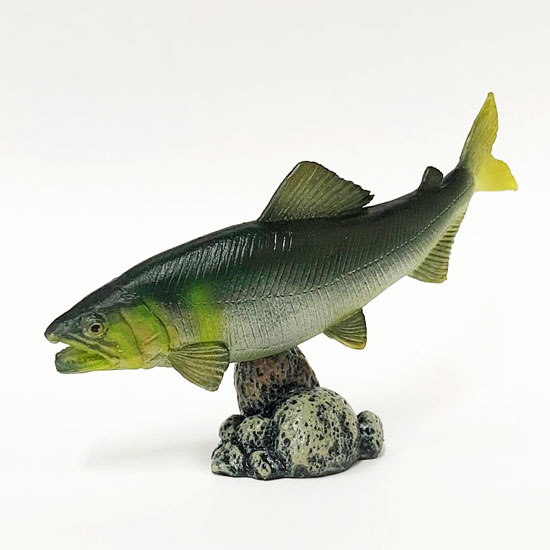 楽天市場】フェバリット 古代魚フィギュアエンシェント