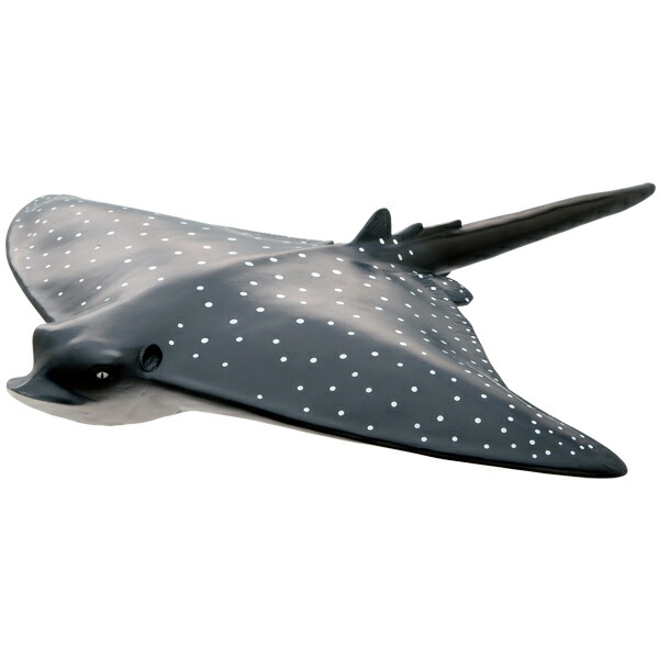 (未使用･未開封品)　アノマロカリス ビニールモデル(FP-303) f4u0baa FP-303 アノマロカリス ビニールモデル: Amazon.com: Industrial