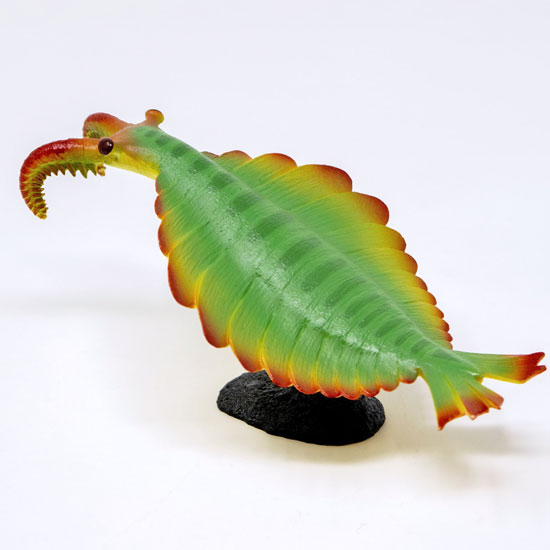 楽天市場】フェバリット 古生物フィギュアビニールモデル