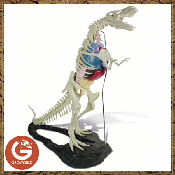 ジオレックス ジオワールド社 組み立て Papo ティラノサウルス骨格模型 ソプラノ ｓｉｋｕ Schleich 恐竜フィギュアgeorex 人気商品大割引