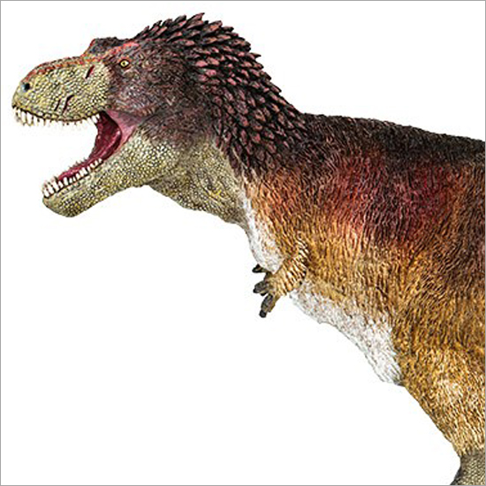 羽毛 ティラノサウルス ティラノサウルスに羽毛はあったのか？ 史上最強恐竜にみる、科学の進歩と醍醐味
