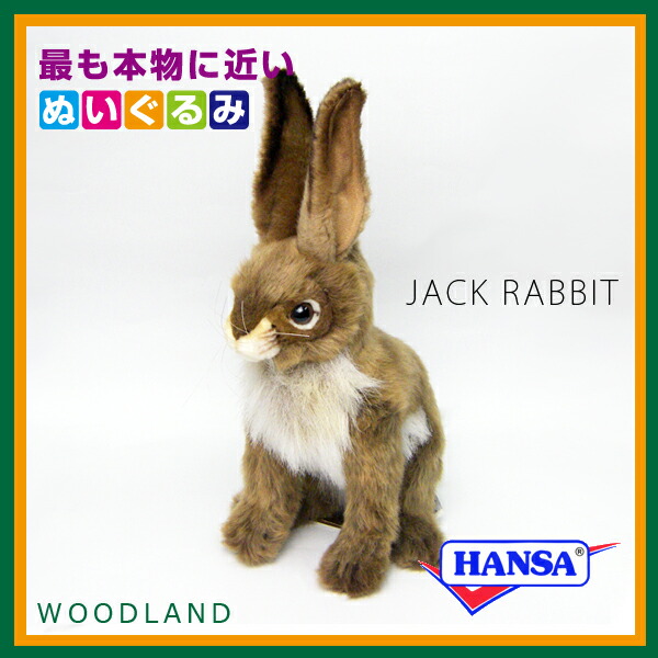 hansa rabbit