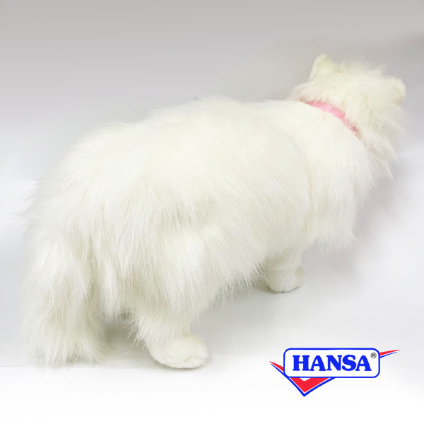 hansa cat