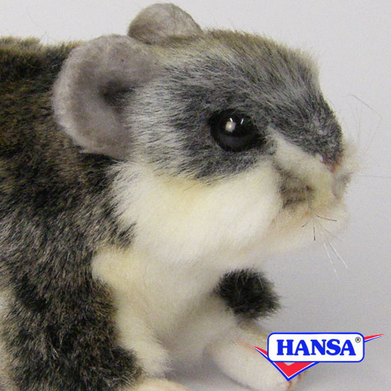 楽天市場】【販売終了】RUNRUN HAMSTER ( ランランハムスター