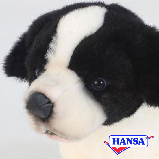 楽天市場】ハンサ【HANSA】リアルぬいぐるみボーダーコリー39cm