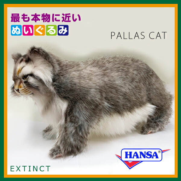 楽天市場 Hansa ハンサ ぬいぐるみ7077 マヌルネコ Pallas Cat マヌル猫 ソプラノ