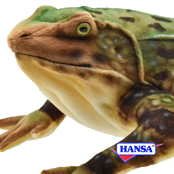 HANSA ハンサ ぬいぐるみ8575 ゴライアスガエル カエル かえる リアル 両生類｜ソプラノ 9,317円