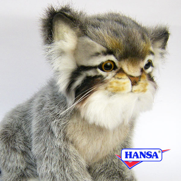 楽天市場 Hansa ハンサ ぬいぐるみ7077 マヌルネコ Pallas Cat マヌル猫 ソプラノ