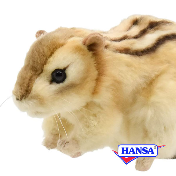 楽天市場】＼平日9時までの注文で即日発送／【HANSA シマリス25