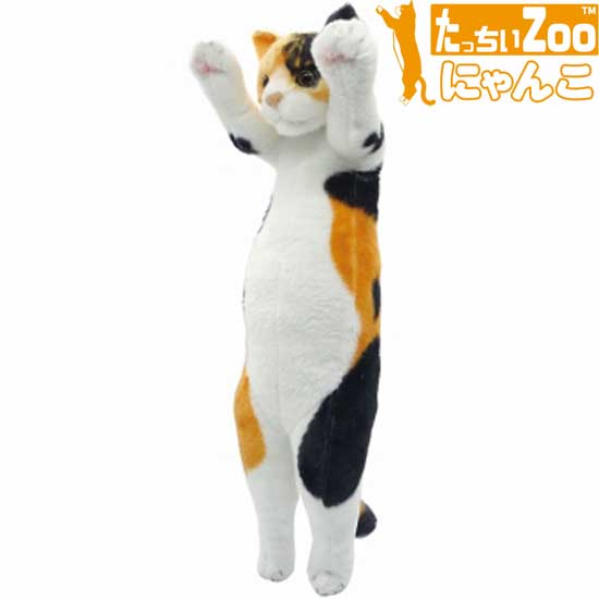 楽天市場】【ぬいぐるみ】たっちぃZOOにゃんこ三毛猫 /ねこ雑貨