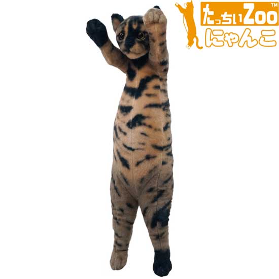 黒猫　ソイネショップ ドロップス クロ Drops Kuro イエローアイ 猫のぬいぐるみ 仔猫