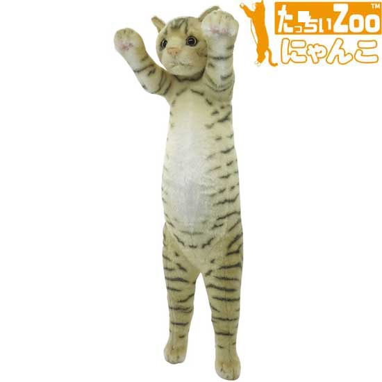 楽天市場】たっちぃZoo にゃんこ マンチカン 猫のぬいぐるみ : ソプラノ