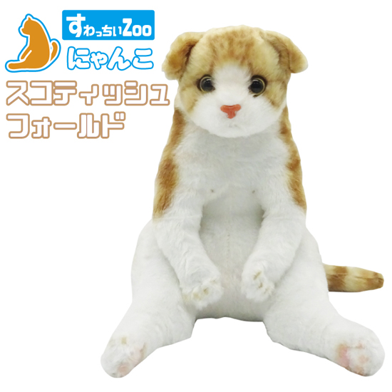 スコ座り猫。 DVD 楽天市場】すわっちぃZoo にゃんこ 三毛猫 猫のぬいぐるみ スコ