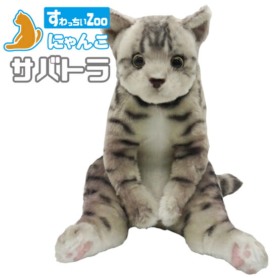 スコ座り猫。 DVD 楽天市場】すわっちぃZoo にゃんこ 三毛猫 猫のぬいぐるみ スコ