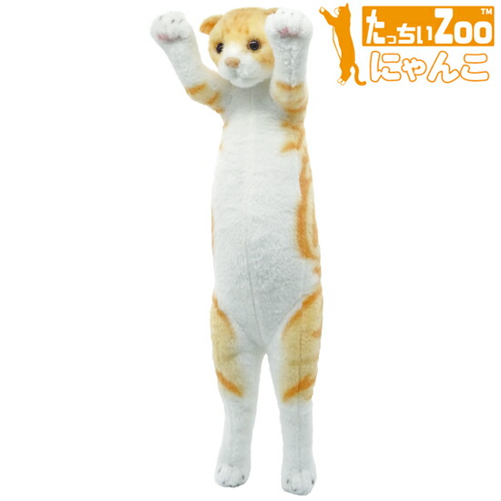 楽天市場】たっちぃZoo にゃんこ マンチカンシルバー 猫のぬいぐるみ