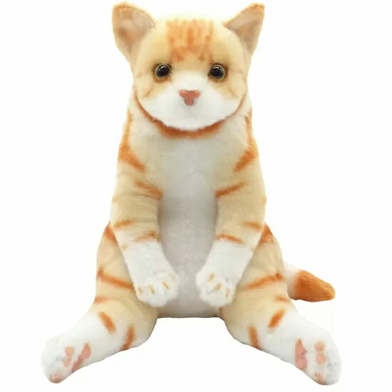 スコ座り猫。 DVD 楽天市場】すわっちぃZoo にゃんこ 三毛猫 猫のぬいぐるみ スコ