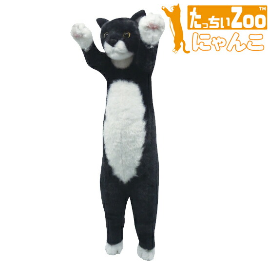 すわっちぃ Zoo にゃんこ スコ座り　ハチワレ　三毛猫　サバトラ　サビ猫 すわっちぃZooにゃんこ ハチワレ | 株式会社リード