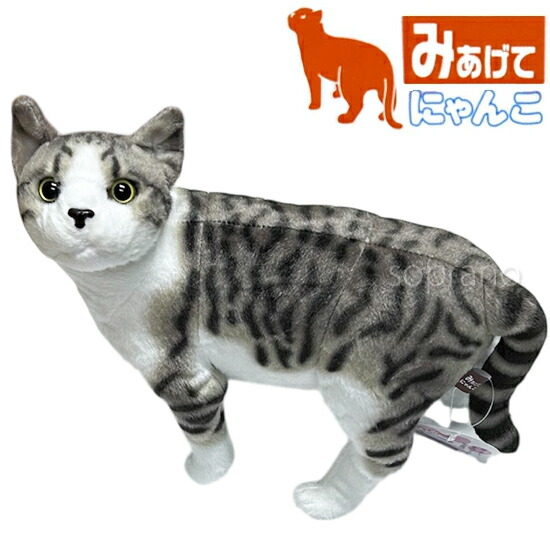 楽天市場】新・キヨ猫ぬいぐるみ (TOP4 in TOKYO DOME) : novolstore