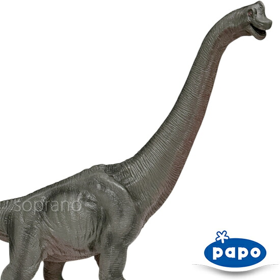 papo パポ 恐竜フィギュア 55030 ブラキオサウルス