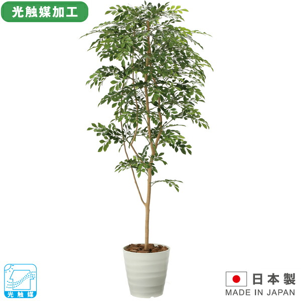 【法人様限定】 フロア トリネコ1.8 光触媒 オフィスグリーン W750×D750×H1800 人工植物 アートグリーン インテリアグリーン 観葉植物 抗菌 消臭 防汚 ホルムアルデヒド分解 グリーン プランター オフィス家具 UTILITY 日本製 【受注生産品】
