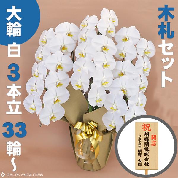 胡蝶蘭 大輪 白 3本立ち 33輪~(蕾込み) 木札セット 高級胡蝶蘭 農園直送 金賞受賞 ギフト お祝い 花 誕生日 結婚記念日 金婚式 移転祝い 事務所移転 開店祝い 開業祝い お供え 就任 栄転 褒章 叙勲 受賞祝い 受章祝い 昇進 栄転 就任 長寿 還暦 株主総会 送料無料|DELTA オフィス家具