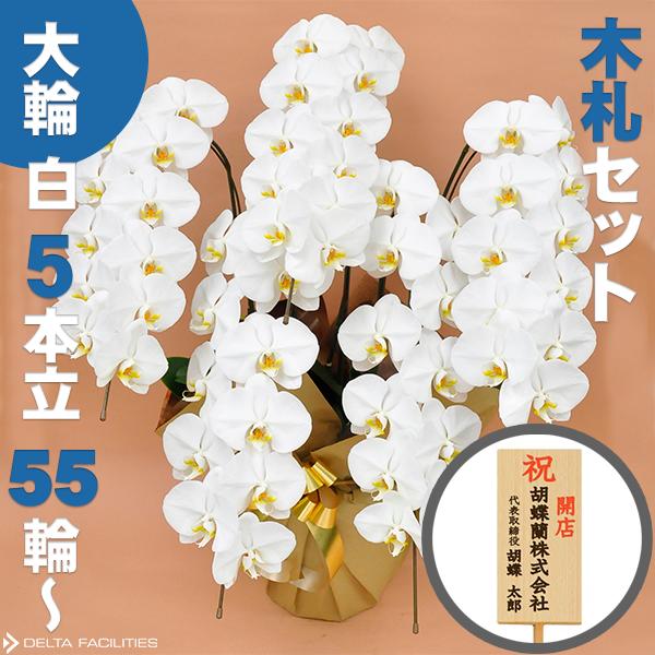 肩こりや腰痛になりにくい机と居敷きの高さの似つかわしいな平衡にするは？身の丈別数えること式を引き合わせる！