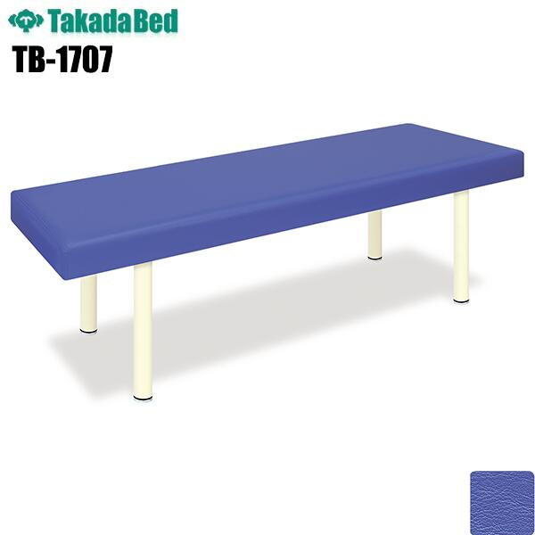 DXリミテッド ライトブルー 【TB-1707】 介護ベッド 診察台 ベッド マッサージ台 マッサージベッド 病院 クリニック 医療 介護 診察 診察室 施術 施術ベッド レザー 耐アルコール 耐次亜塩素酸 抗菌 防汚 難燃 RoHs対応 TakadaBed 高田ベッド製作所 【日本製】 19,536円